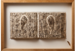 BOOK・封じられた翼