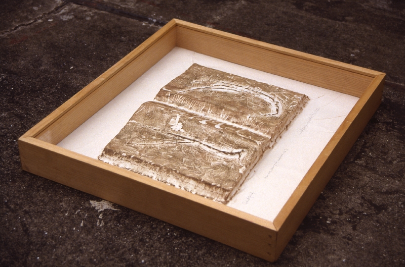 本｜記憶（進化論より）