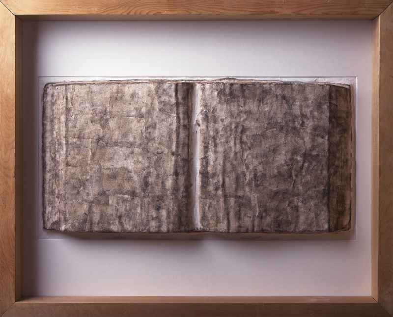 本｜ガーゼに包まれた（1995）