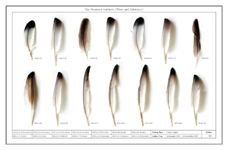 ドゥローイング The Thirteen Feathers（Hydrodynamics）