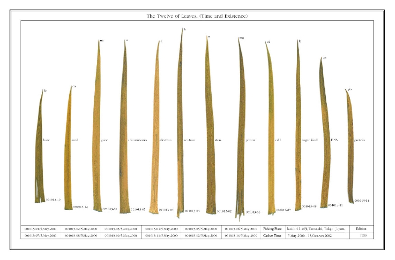 The Twelve of Leaves.（Time and Existence）