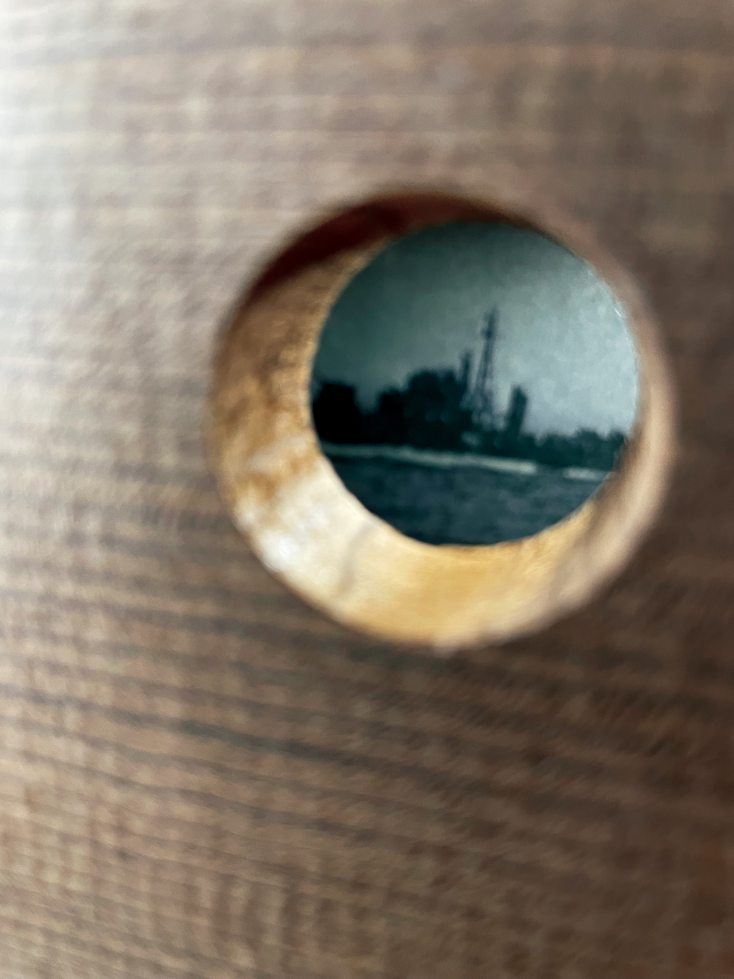 巣箱ユニット｜記憶